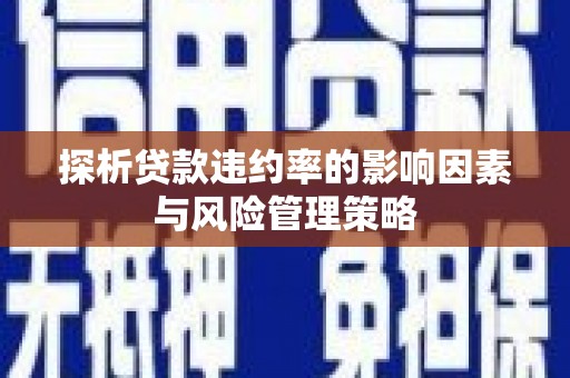 九台探析贷款违约率的影响因素与风险管理策略