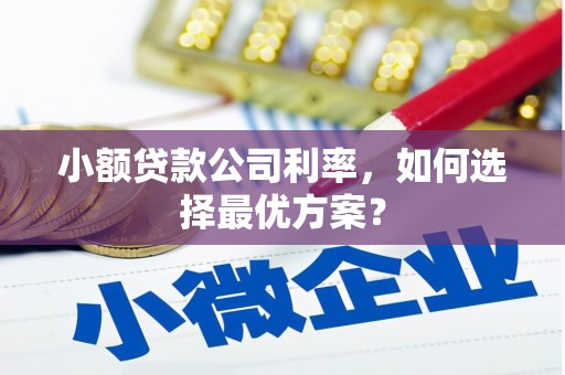 九台小额贷款公司利率，如何选择最优方案？