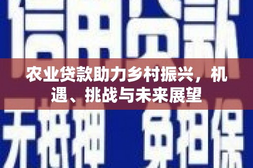 九台农业贷款助力乡村振兴，机遇、挑战与未来展望
