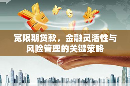 九台宽限期贷款，金融灵活性与风险管理的关键策略