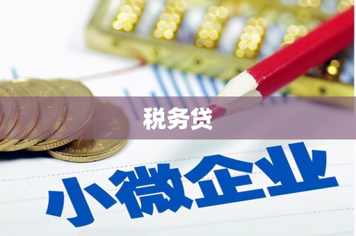九台税务贷