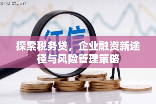 九台探索税务贷，企业融资新途径与风险管理策略
