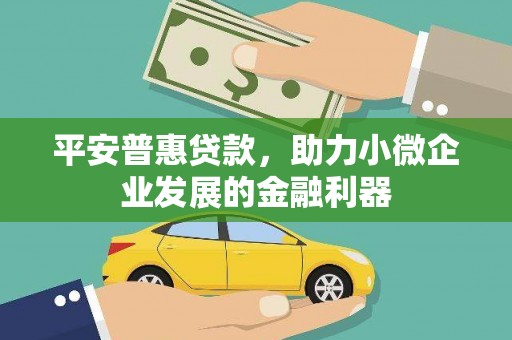 九台平安普惠贷款，助力小微企业发展的金融利器
