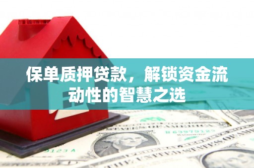 九台保单质押贷款，解锁资金流动性的智慧之选