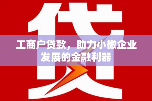 九台工商户贷款，助力小微企业发展的金融利器