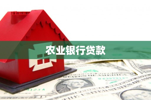九台农业银行贷款