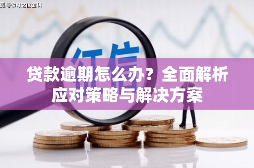 九台贷款逾期怎么办？全面解析应对策略与解决方案