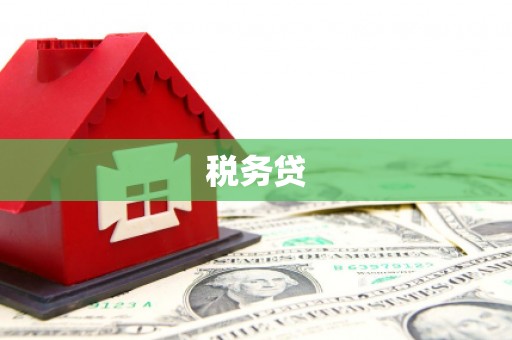 九台税务贷