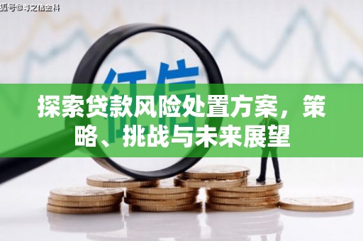 九台探索贷款风险处置方案，策略、挑战与未来展望