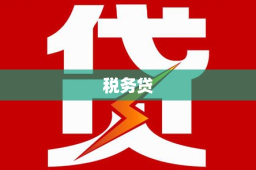 九台税务贷