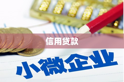 九台信用贷款