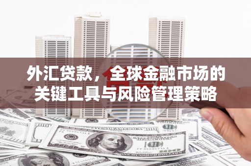 九台外汇贷款，全球金融市场的关键工具与风险管理策略