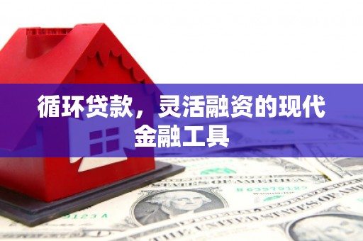 九台循环贷款，灵活融资的现代金融工具