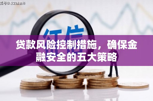 九台贷款风险控制措施，确保金融安全的五大策略
