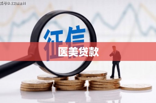 九台医美贷款
