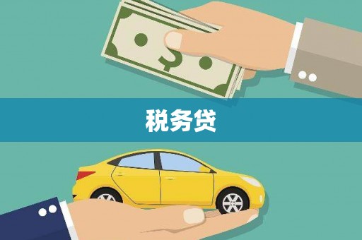 九台税务贷