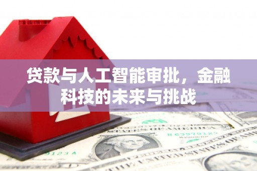 九台贷款与人工智能审批，金融科技的未来与挑战
