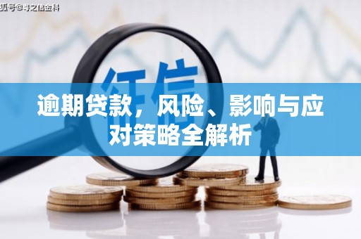 九台逾期贷款，风险、影响与应对策略全解析