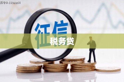 九台税务贷