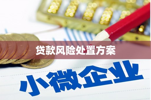 九台贷款风险处置方案