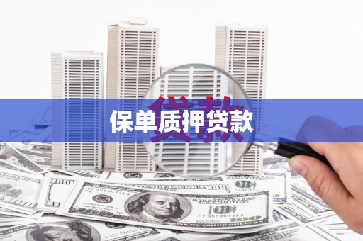 九台保单质押贷款