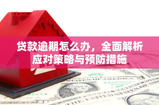 九台贷款逾期怎么办，全面解析应对策略与预防措施