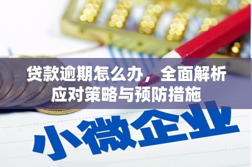 九台贷款逾期怎么办，全面解析应对策略与预防措施