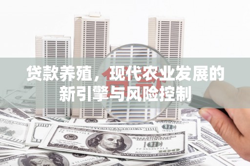 九台贷款养殖，现代农业发展的新引擎与风险控制