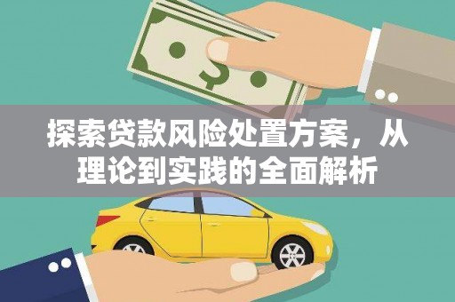 九台探索贷款风险处置方案，从理论到实践的全面解析