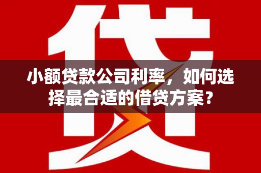 九台小额贷款公司利率，如何选择最合适的借贷方案？
