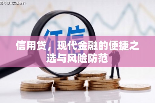 九台信用贷，现代金融的便捷之选与风险防范