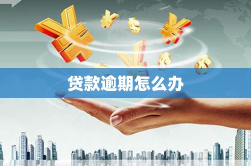 九台贷款逾期怎么办