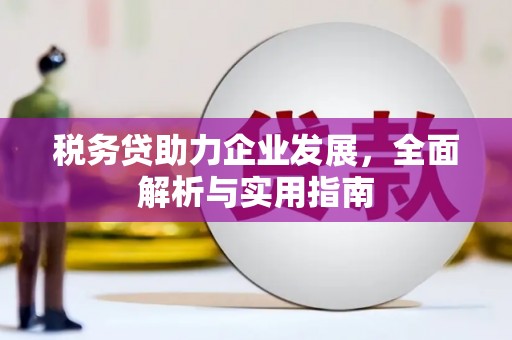 九台税务贷助力企业发展，全面解析与实用指南