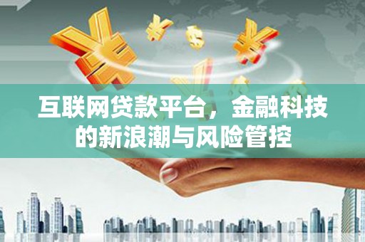 九台互联网贷款平台，金融科技的新浪潮与风险管控