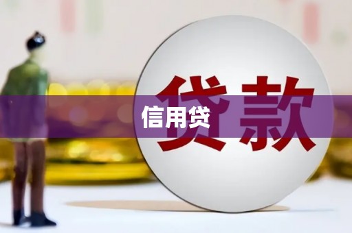 九台信用贷