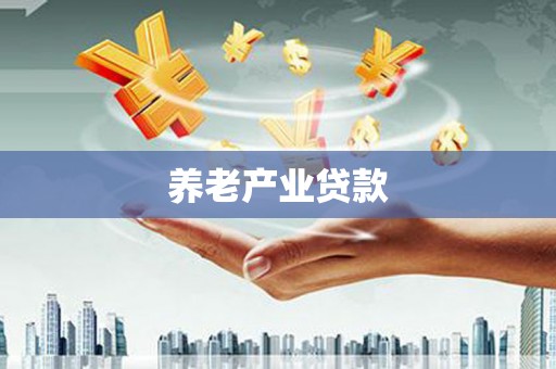 九台养老产业贷款