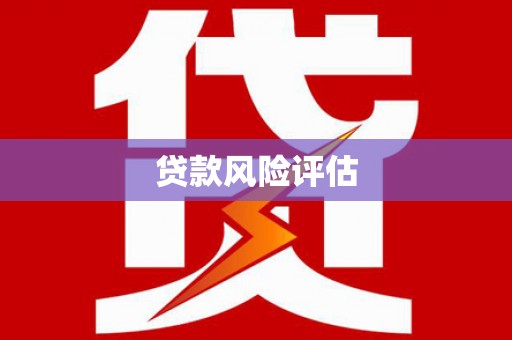 九台贷款风险评估