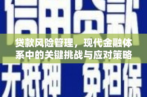 九台贷款风险管理，现代金融体系中的关键挑战与应对策略