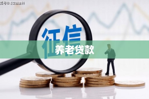 九台养老贷款