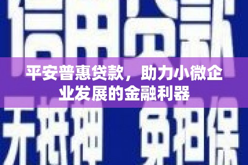 九台平安普惠贷款，助力小微企业发展的金融利器