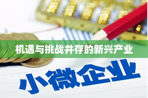 九台机遇与挑战并存的新兴产业