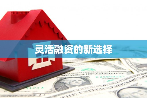 九台灵活融资的新选择