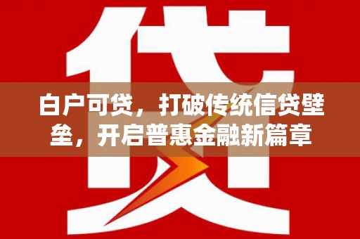 九台白户可贷，打破传统信贷壁垒，开启普惠金融新篇章