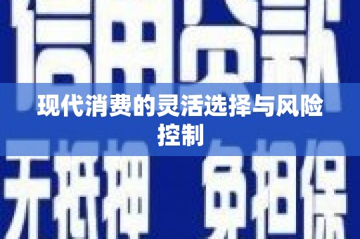 九台现代消费的灵活选择与风险控制