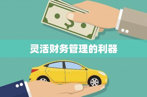 九台灵活财务管理的利器