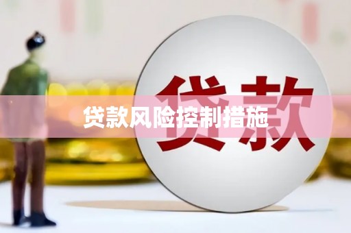 九台贷款风险控制措施