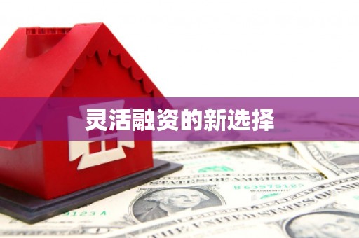 九台灵活融资的新选择
