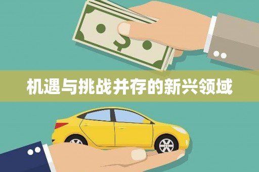 九台机遇与挑战并存的新兴领域