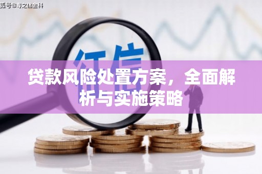 九台贷款风险处置方案，全面解析与实施策略