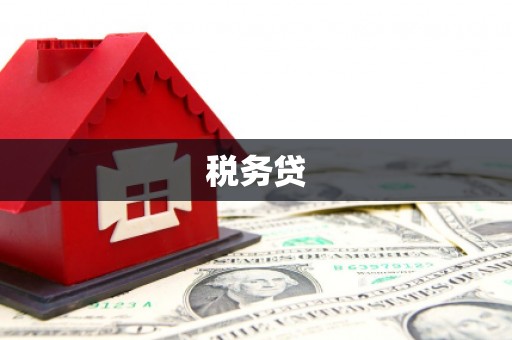 九台税务贷